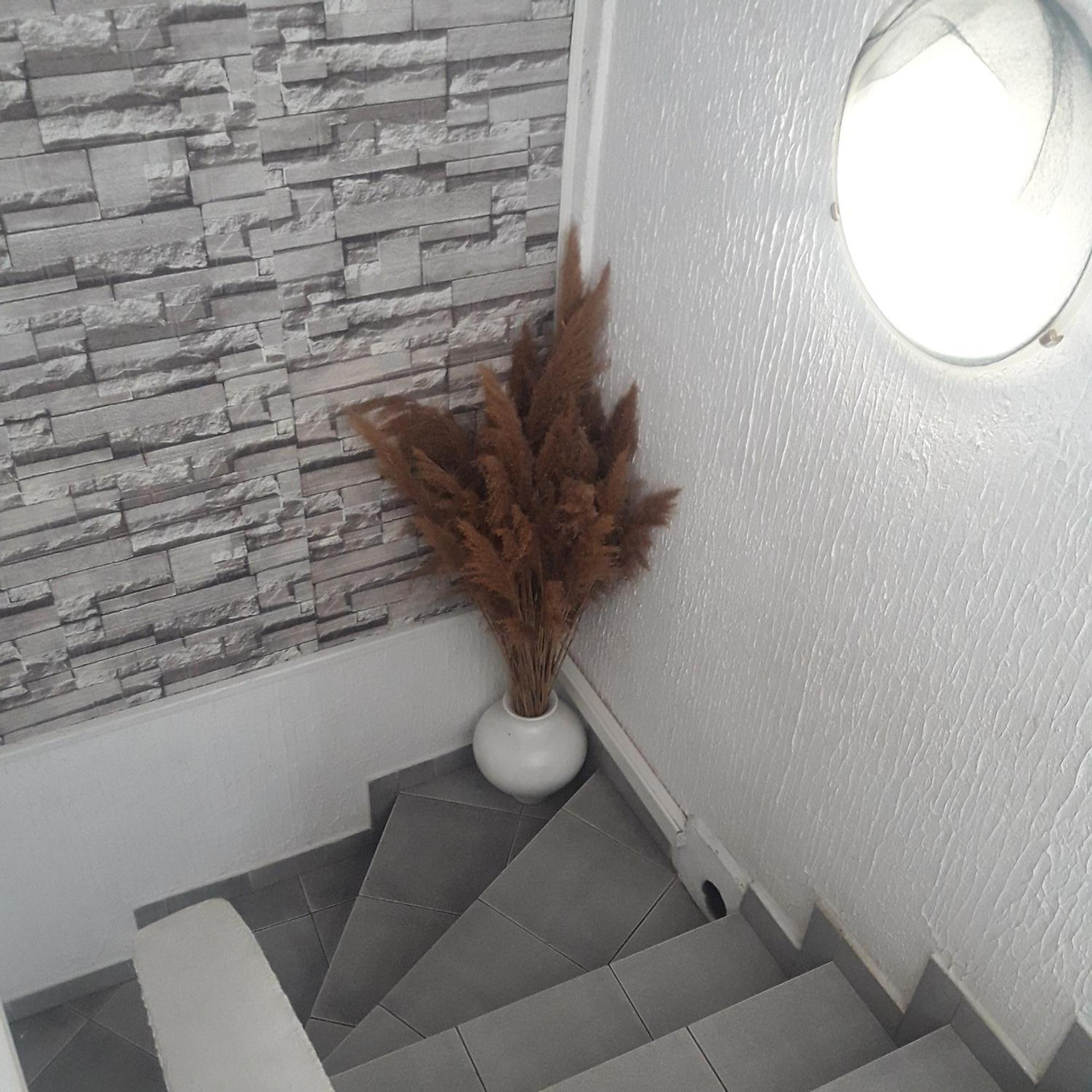 Apartmani Ni Eksteriør billede